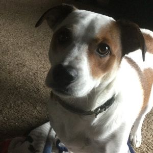 Meet your Posher, Jillian